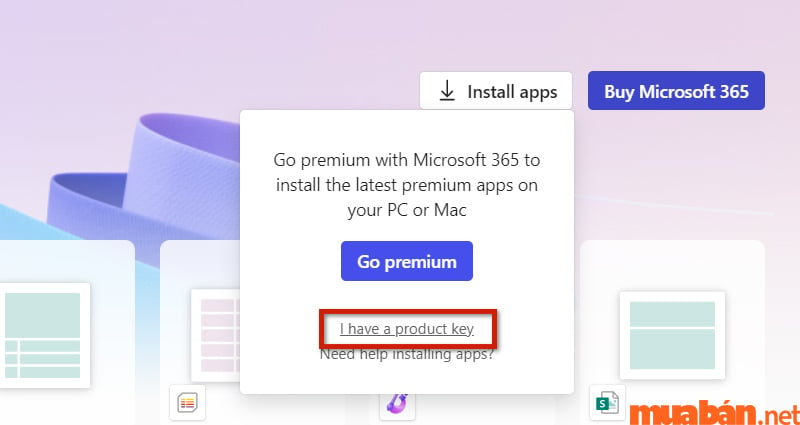 Chọn dòng chữ I have a product key