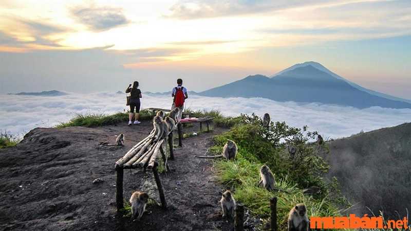 Kinh nghiệm du lịch Bali dành cho những người thích trecking là nên ghé Mount Batur