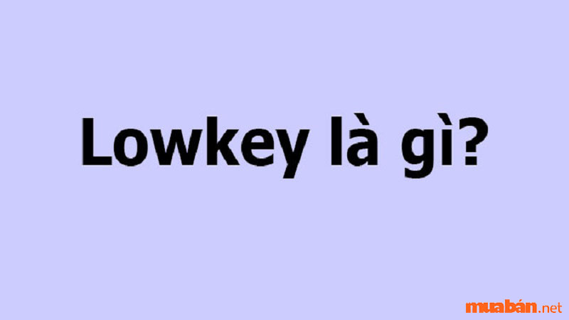 Dù Gen Z sử dụng nhiều nhưng ít ai biết Lowkey là gì