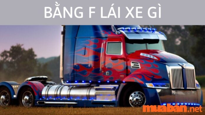 bang-f-lai-xe-gi