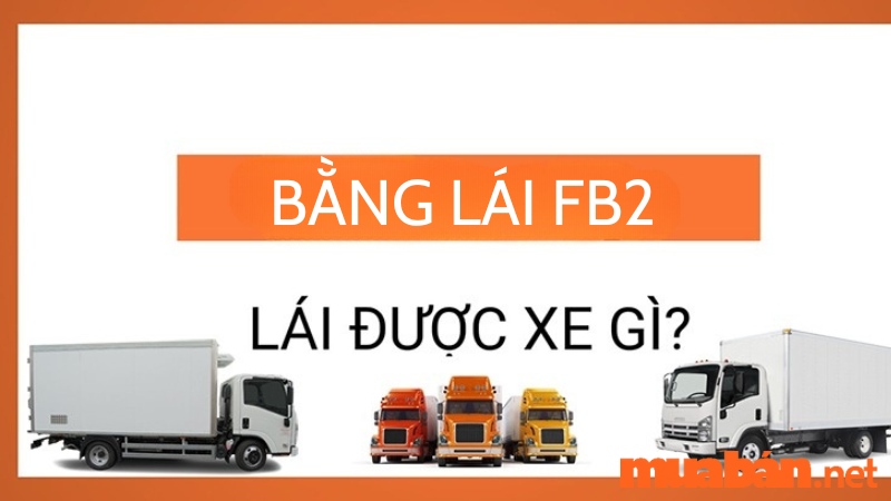 bang-f-lai-xe-gi