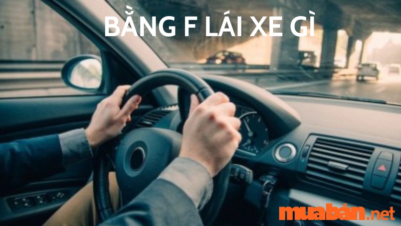 bang-f-lai-xe-gi