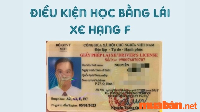 bang-f-lai-xe-gi