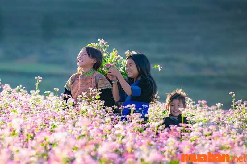 Mỗi một mùa, Hà Giang luôn có những nét đẹp riêng