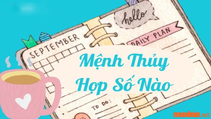 Mệnh Thủy hợp số nào để gặp nhiều may mắn trong sự nghiệp, cuộc sống?