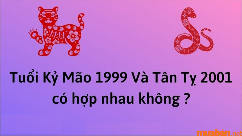 Nam 1999 Kỷ Mão lấy vợ tuổi Tân Tỵ 2001