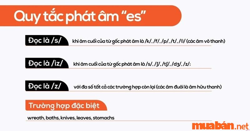 Mẹo phát âm e/és trong bài thi tiếng Anh