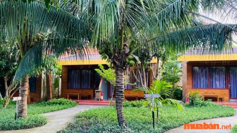 Tân Sơn Nhất Resort Côn Đảo