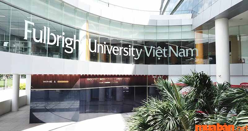 Mã tuyển sinh của Đại học Fulbright là FUV