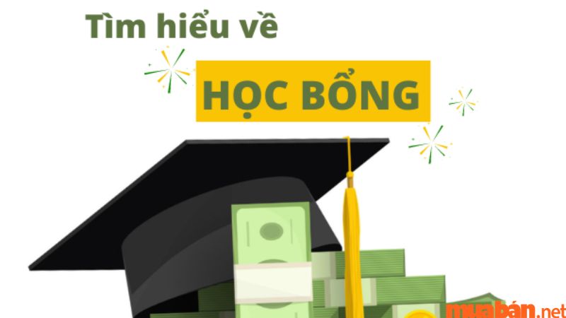 Chính sách học bổng