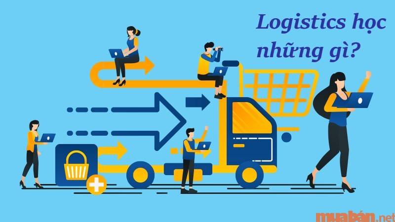 Ngành Logistics sẽ học những gì?