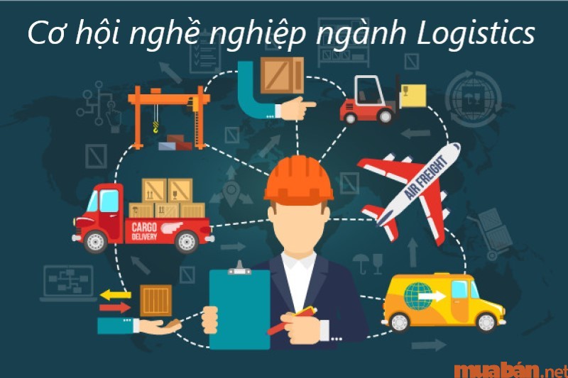 Cơ hội nghề nghiệp và định hướng tương lai ngành Logistics