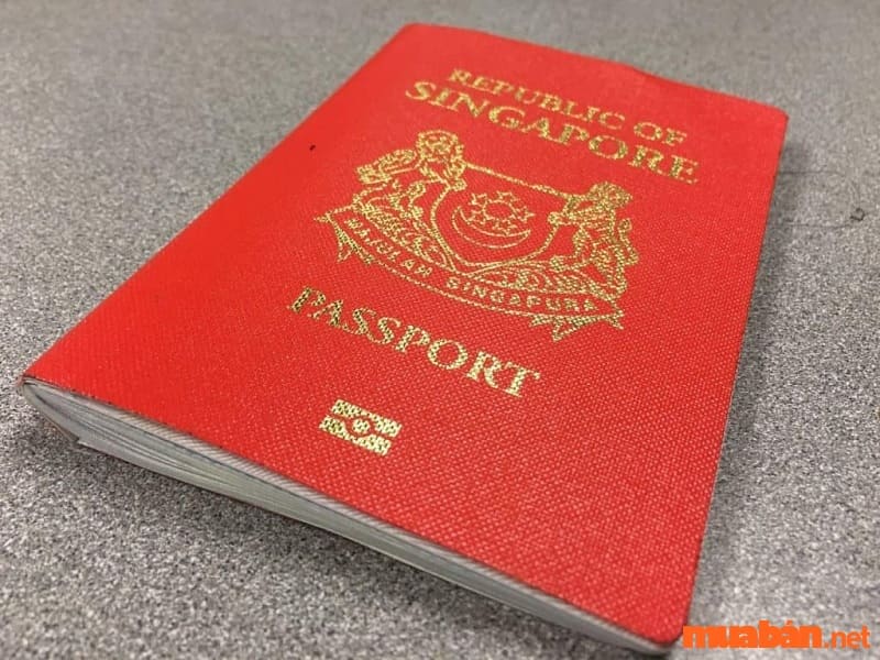 Passport vẫn còn hiệu lực (trong vòng 6 tháng)