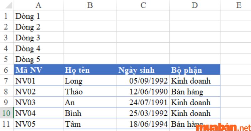 Mô tả lỗi không sử dụng được chức năng FreezePanes