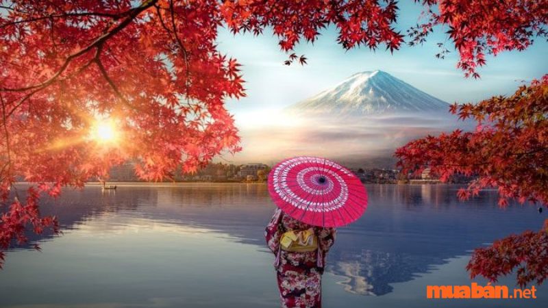 Kinh nghiệm du lịch Nhật Bản tự túc cho người mới 2023