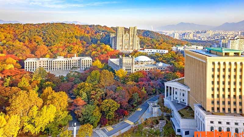 Tìm hiểu thông tin về du học Hàn Quốc 2023