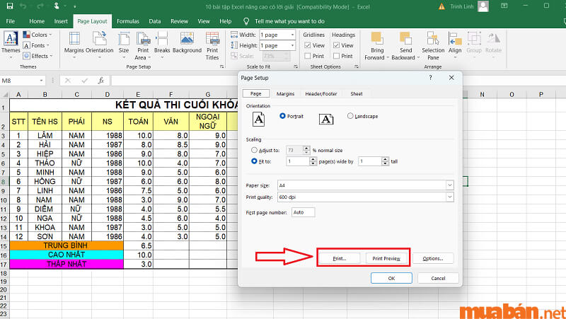 Cách in Excel