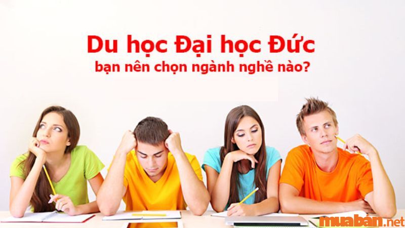 Du học Đức nên học ngành gì