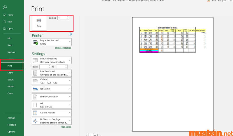 Cách in Excel