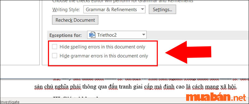 Bỏ chọn các mục bên dưới trong phần When correcting spelling and grammar in