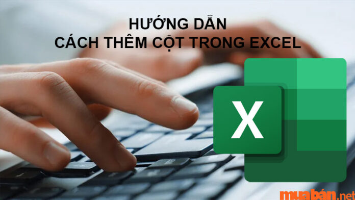 Tổng hợp 6 cách thêm cột trong Excel đơn giản và cực nhanh chóng