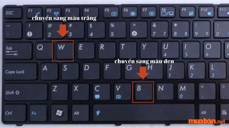 Che màn hình trình chiếu trong PowerPoint