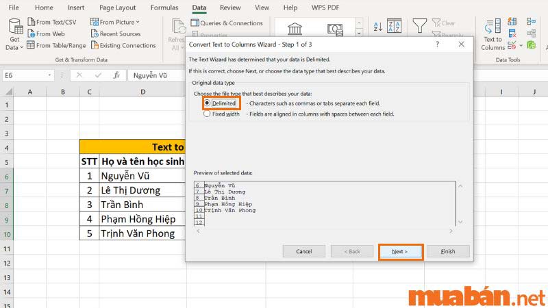 Bước 3: Chọn mục Delimited và bấm Next.