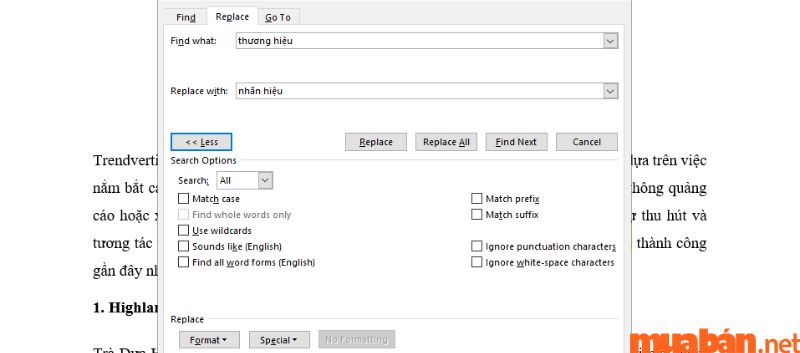 Tùy chọn nâng cao trong hộp thoại Find và Replace 