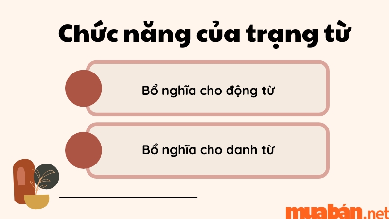 Chức năng của trạng từ