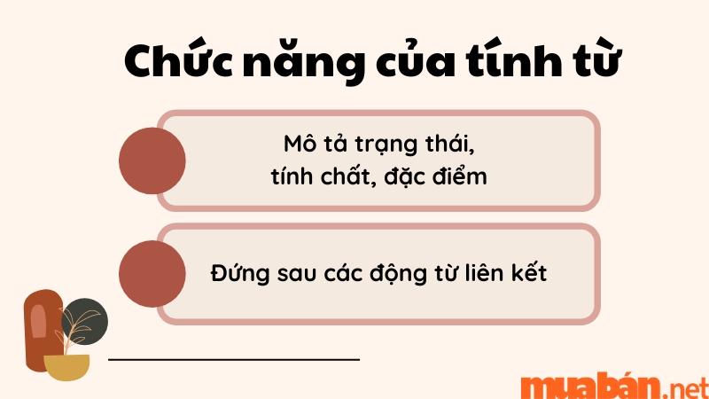 Chức năng của tính từ