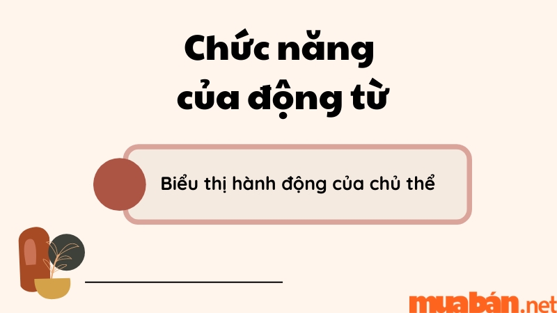 Chức năng của động từ