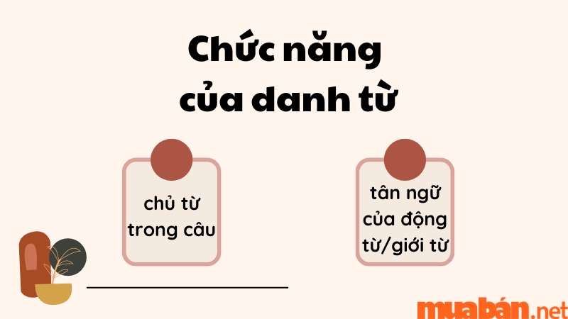 Chức năng của danh từ