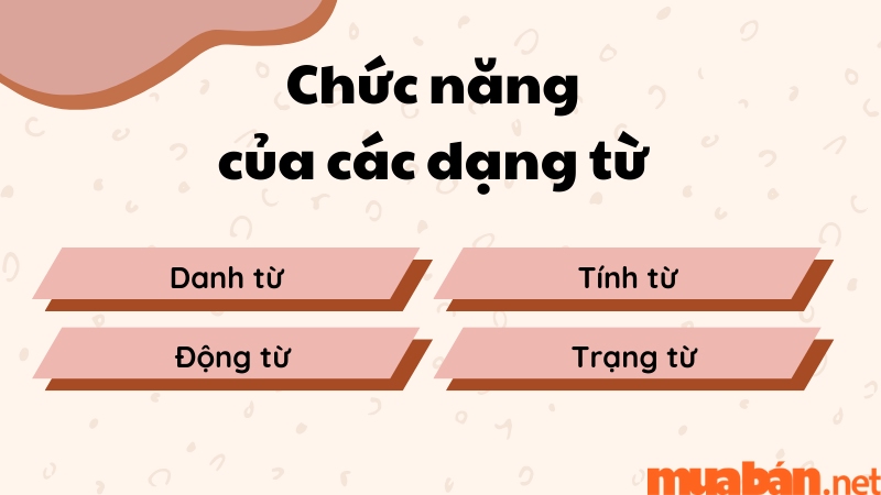 Tìm hiểu chức năng của loại từ trong dạng bài Word Form