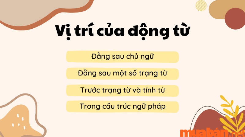 Vị trí của động từ trong câu