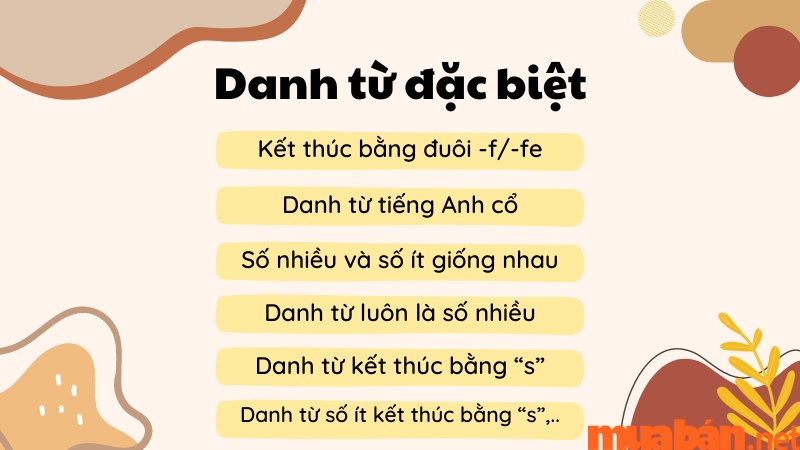 Các danh từ đặc biệt