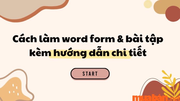 Word form là gì? Cách làm Word Form & bài tập kèm hướng dẫn