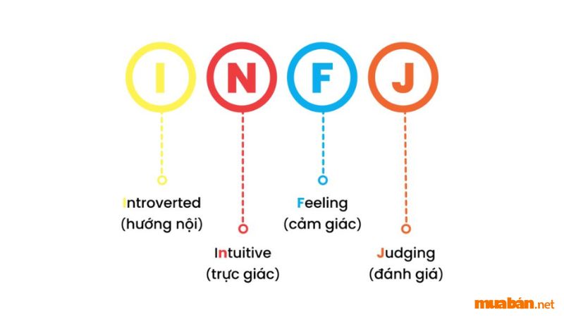 INFJ là gì? Đặc trưng của nhóm tính cách INFJ