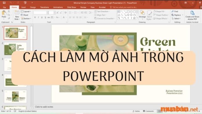 Khi cần làm mờ hình ảnh, chắc chắn mọi người sẽ nghĩ ngay tới các phần mềm chỉnh sửa.