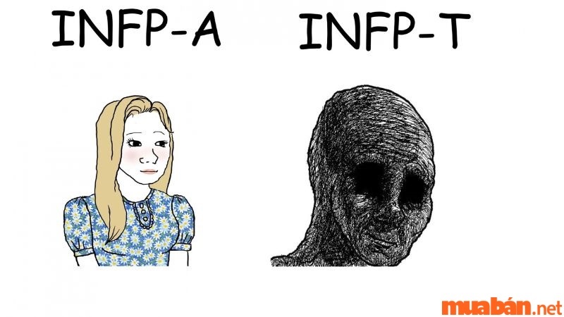 Phân biệt tính cách INFP-A và INFP-T