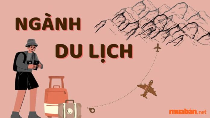 Ngành Du lịch thi khối nào? Điểm chuẩn các trường đào tạo ngành Du lịch