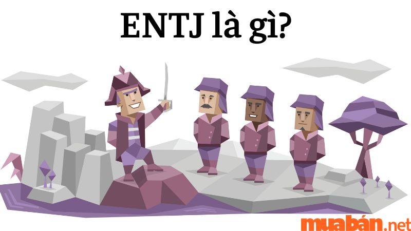 Nhóm tính cách ENTJ là gì?