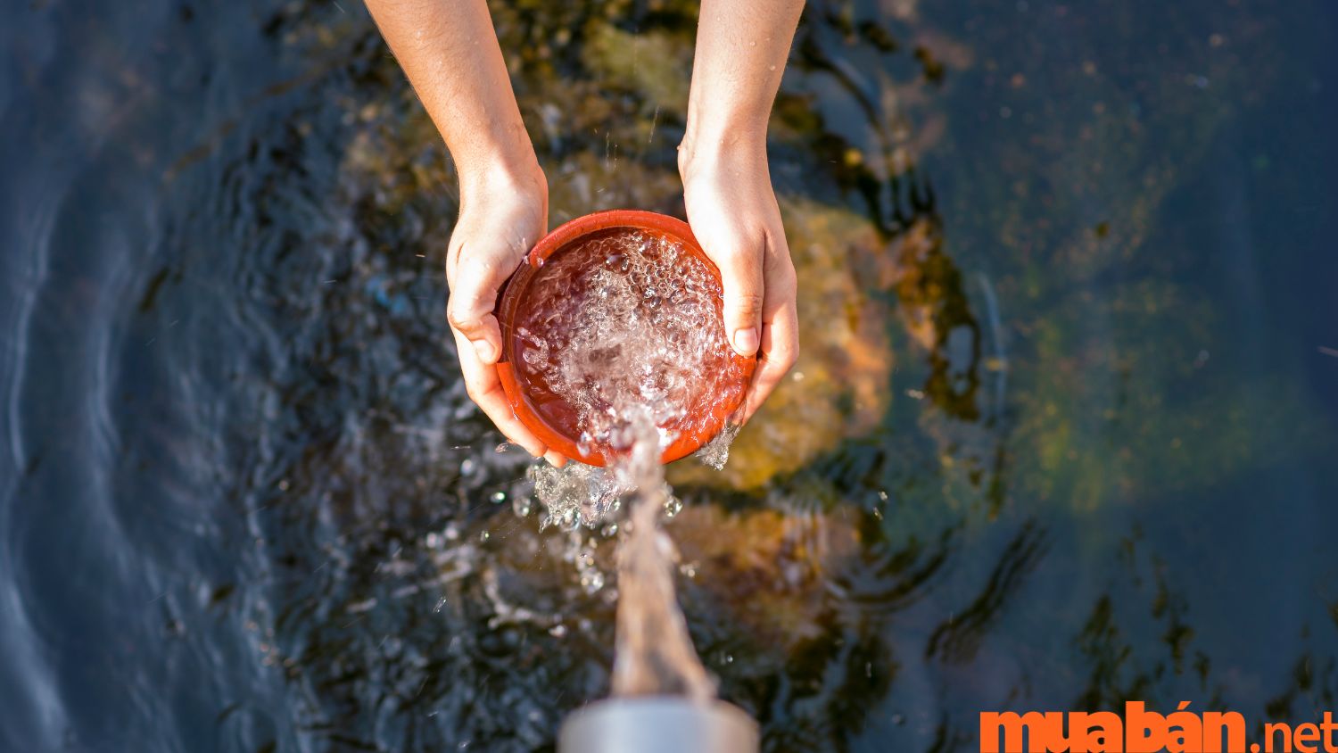 Bổ sung nước giúp cải thiện vận mệnh Thủy