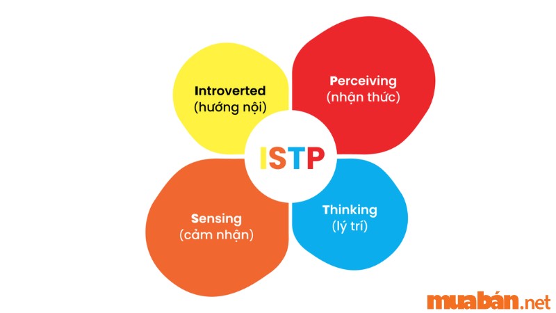 Đặc trưng của nhóm tính cách ISTP