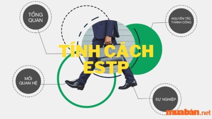 ESTP là gì | Sự thật thú vị về những người mang tính cách ESTP