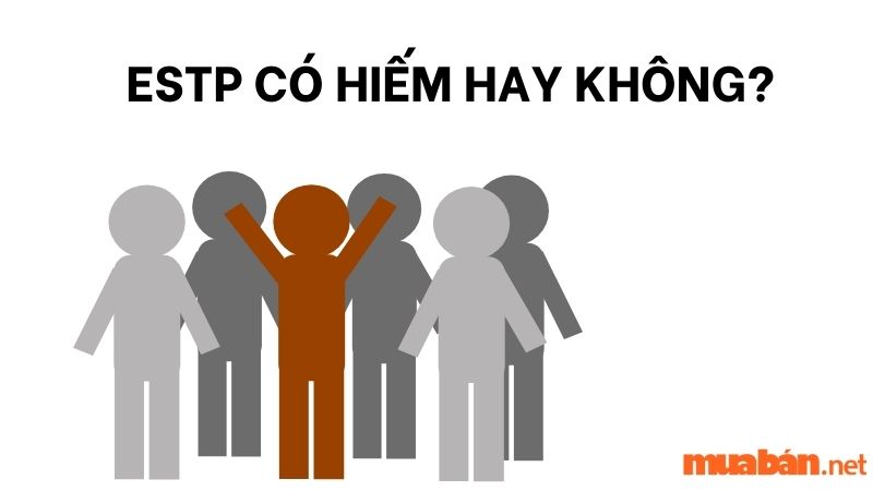  ESTP có hiếm hay không?