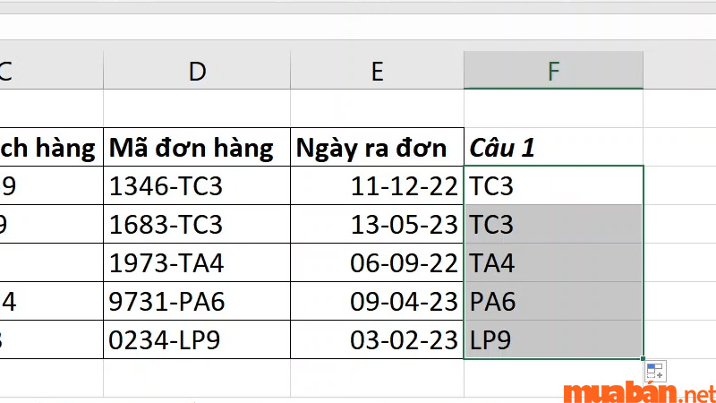 Công thức hàm RIGHT giúp bạn trích xuất dữ liệu một cách đồng bộ