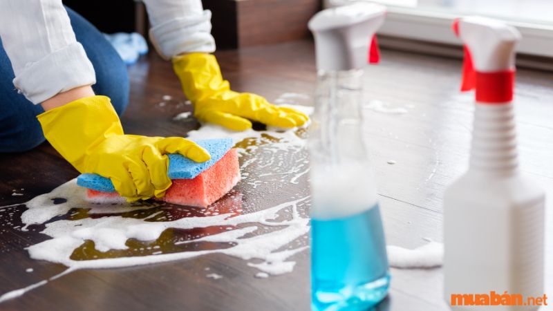 Dọn dẹp nhà ở sạch sẽ tránh cho côn trùng vào nhà