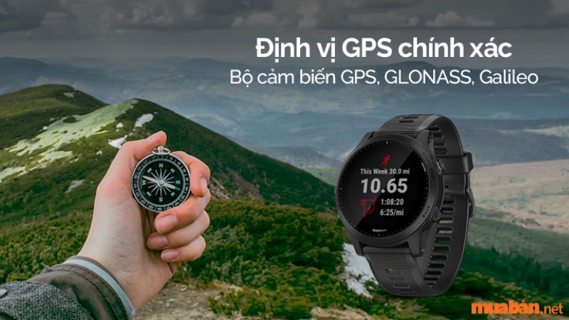 Thương hiệu Garmin có rất nhiều dòng sản phẩm, mẫu mã khác nhau