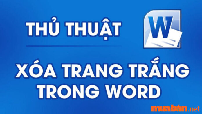 8 cách xoá trang trắng trong Word có thể bạn chưa biết