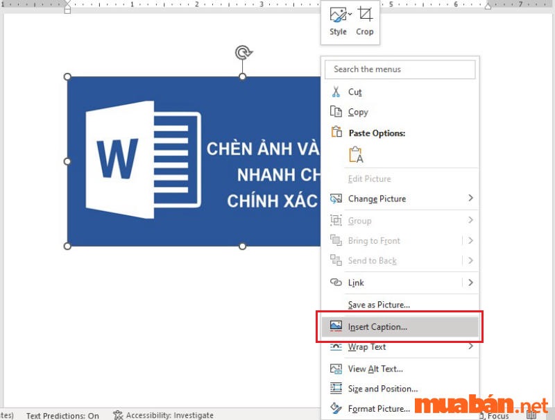 Nhấn chuột phải vào hình ảnh, Insert Caption